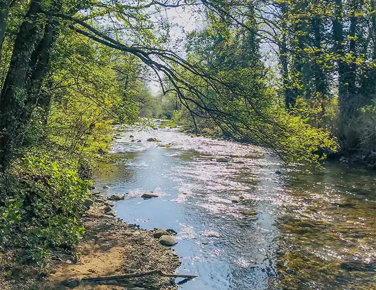 Bord de rivière Alsace Camping de la Doller