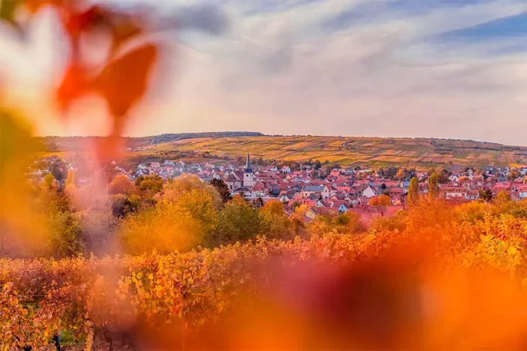 Vignoble Alsace Camping de la Doller