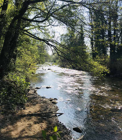 bord riviere maj cta