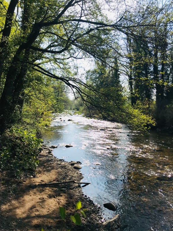 La rivière 1